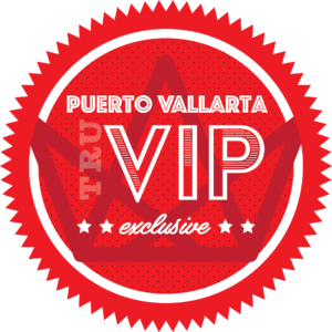 puerto vallarta vip party